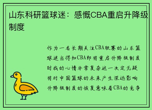 山东科研篮球迷：感慨CBA重启升降级制度