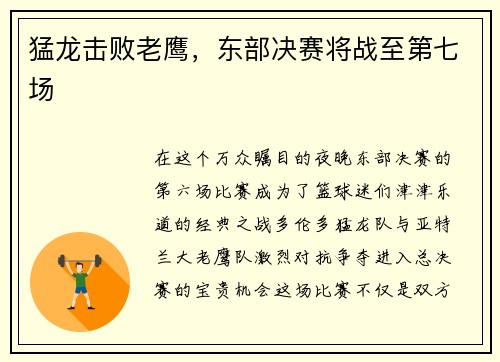 猛龙击败老鹰，东部决赛将战至第七场